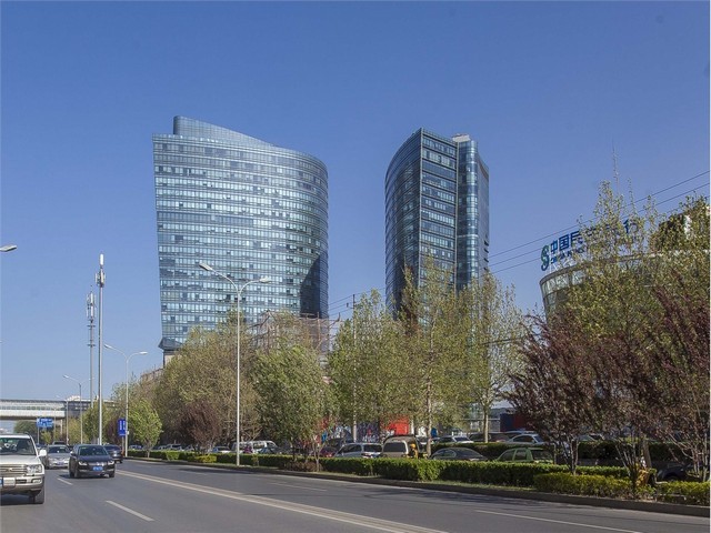 种植油茶用木醋液可以吗